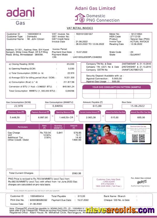 India Adani utility bill